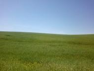 Забороль з panoramio.com