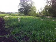 Іванівка з panoramio.com