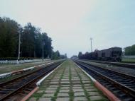 Веснянка з panoramio.com