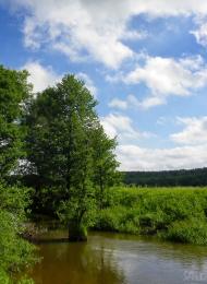 Новий Білоус з panoramio.com