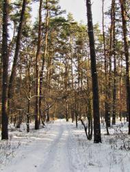 Озерне з panoramio.com