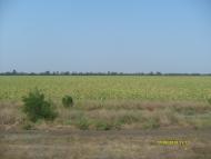 Долинське з panoramio.com