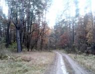 Тарасенки з panoramio.com - Тарасенки
