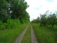 Сніжна з panoramio.com