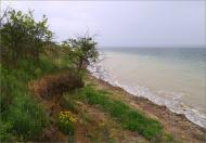 Пшонянове з panoramio.com