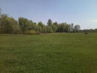 Степанівка з panoramio.com