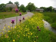 Ков'ярі з panoramio.com