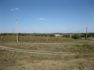 Гаврилівка з panoramio.com