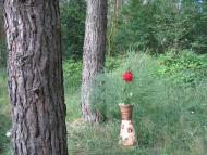 Кривецьке з panoramio.com