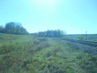 Западинці з panoramio.com