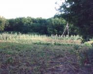 Яблунів з panoramio.com