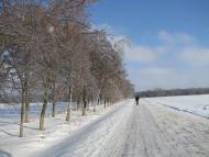 Домажир з panoramio.com