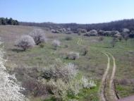 Лимани з panoramio.com