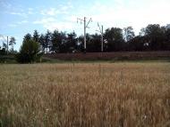 Підлуки з panoramio.com