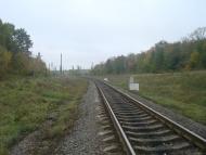 Буйволівці з panoramio.com