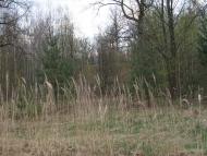 Глибочок з panoramio.com