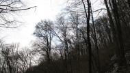 Ворочово з panoramio.com - Ворочево