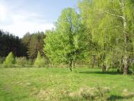 Віленька з panoramio.com