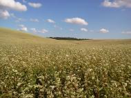 Цеперів з panoramio.com