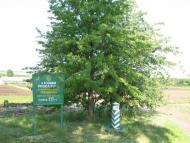 Білокуракине з panoramio.com