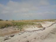 Круглоозерка з panoramio.com