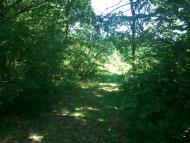 Бабче з panoramio.com