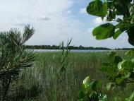 Самари з panoramio.com