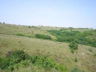 Вишневе з panoramio.com