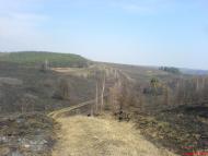 Пушкарівка з panoramio.com