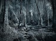 Мала Стариця з panoramio.com