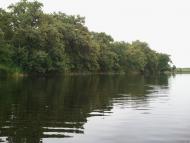 Усть-Лип'янка з panoramio.com