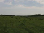 Жерденівка з panoramio.com