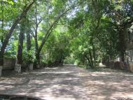 Вергулівка з panoramio.com