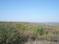 Андрійчикове з panoramio.com
