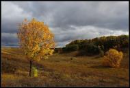 Петропавлівка з panoramio.com