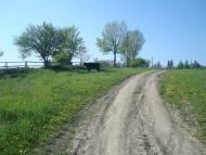 Кузьмин з panoramio.com