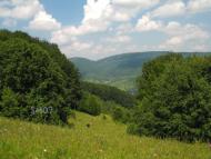 Прокурава з panoramio.com