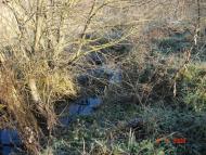 Добротимофіївка з panoramio.com