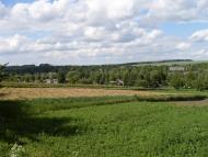 Чернявка з panoramio.com