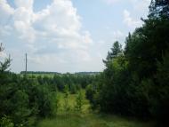 Бережне з panoramio.com