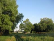 Врубівський з panoramio.com