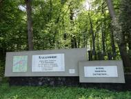 Ромашківка - Останні фото