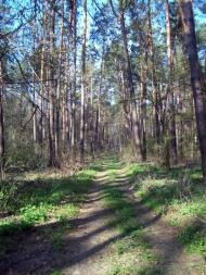 Вишняки з panoramio.com - Вишняки
