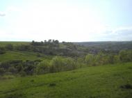 Зіньків з panoramio.com