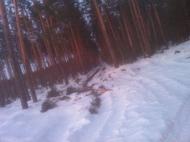 Макалевичі з panoramio.com