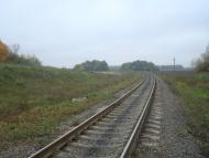 Буйволівці з panoramio.com