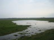 Великий Чернятин з panoramio.com