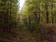 Городок з panoramio.com