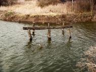 Клинове з panoramio.com