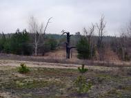 Новотроїцьке з panoramio.com